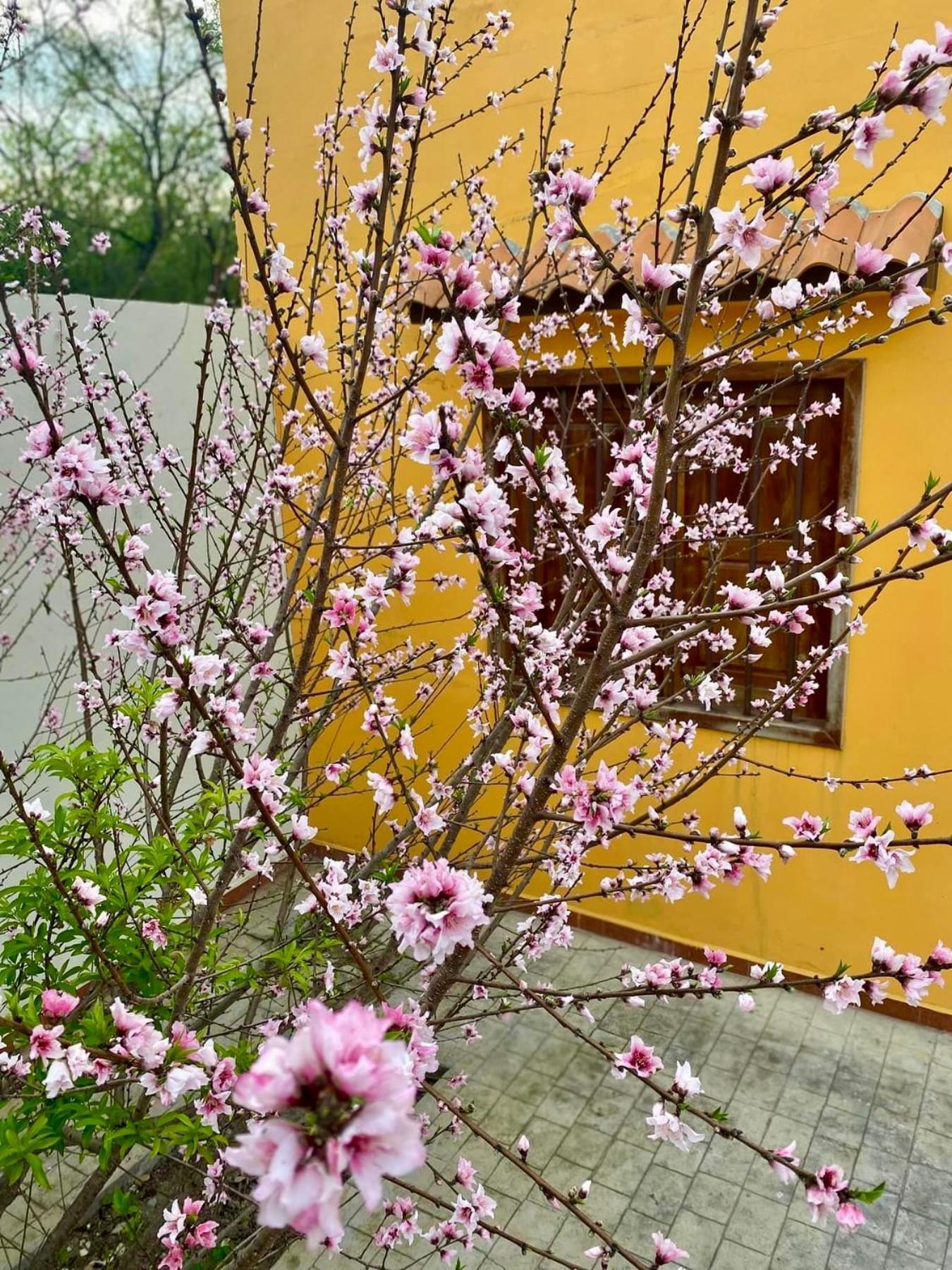Casa Villa Antigua 몬테모렐로스 외부 사진